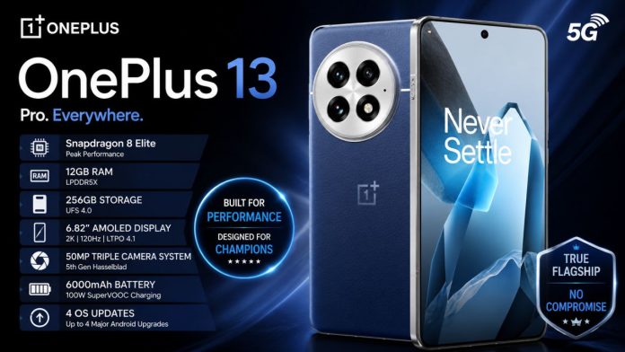 OnePlus 13